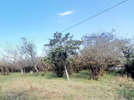 იყიდება კერძო სახლი თხილის ბაღით. სამტრედია. საქართველო. ფოტო 6