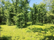 House for sale with a plot of land in the suburbs of Ozurgeti, Georgia. Orchard. Walnut garden. Near the river. Photo 6