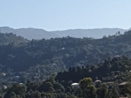 Продается земельный участок у моря в Махинджаури, Грузия. Вид на море и горы. Фото 11