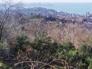 Продается земельный участок в Махинджаури, Грузия. Участок с видом на море. Фото 5