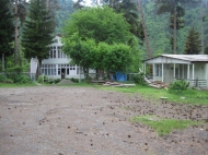 Plot of land with cottages in a pine forest in the resort area in Borjomi, Georgia. Photo 3