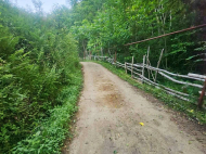 Land parcel, Ground area for sale in the suburbs of Batumi. Akhalsheni. Near the river. Natural spring. Photo 7