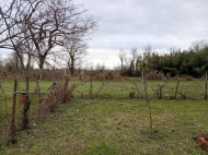 Купить дом с земельным участком в пригороде Самтредиа, Грузия. У реки. Фото 5