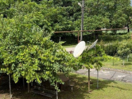House for sale in Ozurgeti. Buy a house with a plot of land in Ozurgeti, Georgia. Photo 21