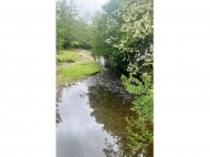 House for sale with a plot of land in the suburbs of Ozurgeti, Georgia. Natural spring. Near the river. Photo 11