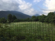 Land for sale in Kvareli, Kakheti, Georgia. Photo 4