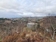 House for sale in a resort district of Kobuleti, Georgia. Tangerine garden. Photo 2