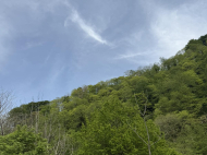 House for sale with a plot of land in Lanchkhuti, Georgia. Photo 15
