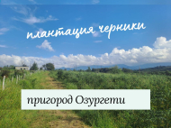 Купить земельный участок в пригороде Озургети. Грузия. У реки. Фото 1