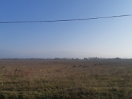 Продается земельный участок в Шекветили, Грузия. Фото 4