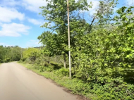 House for sale with a plot of land in the suburbs of Ozurgeti, Georgia. Near the river. Photo 13