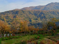 Частный дом в тихом районе с видом на город. Тхилнари, Батуми, Грузия. Фото 2