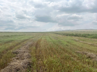 Land parcel for sale in Kakheti, Georgia. Photo 3