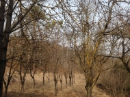 House for sale in Misaktsieli, Kochoba Photo 4