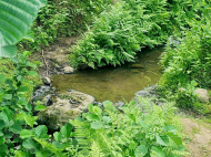 Land parcel, Ground area for sale in the suburbs of Batumi. Akhalsheni. Near the river. Natural spring. Photo 3