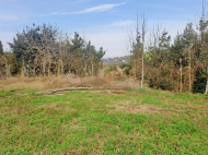 House with sea view. House for sale with tangerine garden in Tsihisdziri, Georgia. Photo 5