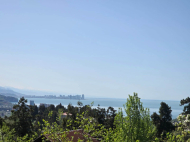 Продается частный дом у моря в Букнари, Грузия. Вид на море. Фото 3