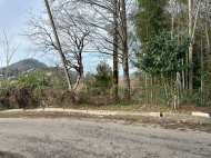 ყიდვა კერძო სახლის მიწის ნაკვეთით ქალაქგარეთ ბათუმში, ახალშენი. ფოტო 8