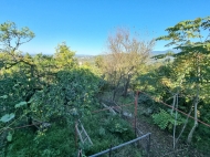 Купить частный дом с земельным участком в Хуцубани, Грузия. Мандариновый сад, Фруктовый сад. Фото 17