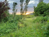 House for sale with a plot of land in the suburbs of Samtredia, Georgia. Near the river. Photo 2