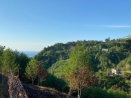 Land parcel, Ground area for sale near the sea in Sarpi, Georgia. Sea view and mountains. Photo 4