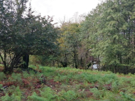 Land parcel, Ground area for sale in a picturesque place. Photo 2