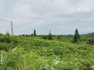 Land parcel for sale in Ozurgeti, Georgia. Photo 3