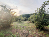 House for sale with a plot of land in the suburbs of Ozurgeti, Georgia. Photo 16