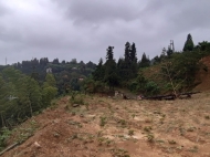 Ground area ( A plot of land ) for sale at the seaside of Tsikhisdziri, Adjara, Georgia. With view of the sea Photo 12