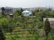 Land parcel, Ground area for sale in the suburbs of Batumi, Georgia. Sea view. Photo 1