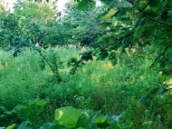 Land parcel, Ground area for sale by the sea in Grigoleti, Georgia. Photo 4