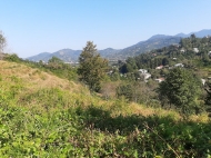 Продажа земельного участка на вершине Тхилнари, Аджария, Грузия. Фото 7