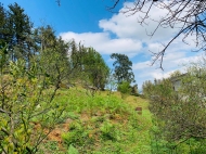 Продается земельный участок с прекрасным видом на горы в Тхилнари, Аджария, Грузия. Фото 16