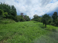 Земельный участок у моря в Чакви. Земельный участок у реки в Чакви, Грузия. Фото 3