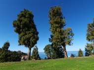 Продается земельный участок у моря в Махинджаури, Грузия. Вид на море и горы. Фото 1
