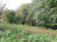 Land parcel, Ground area for sale in a picturesque place. Photo 1