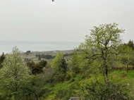 Land parcel on the Black Sea coast in Bobokvati. Ground area for sale in Bobokvati, Georgia. Photo 2