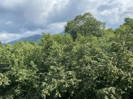 House for sale with a plot of land in Likhauri, Georgia. Photo 9