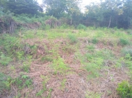 In the surroundings of Batumi, the land plot is sold Photo 6