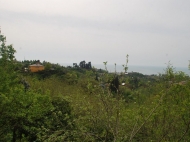 Дом с мандариновым садом в Чакви. Купить частный дом с видом на море и горы в Чакви, Грузия. Фото 1