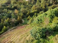 Buy a house in the resort area of Kobuleti, Georgia. Large plot of land with a tangerine orchard. Photo 4