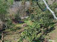 იყიდება კერძო სახლი ზღვის ხედით.  ბათუმი. საქართველო. ფოტო 18