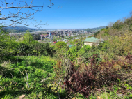 Дом с участком в Хелвачаури. Дом с мандариновым и фруктовим садом в Хелвачаури, Грузия. Фото 3