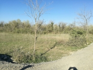 Ground area ( A plot of land ) for sale in Kutaisi, Georgia. Next to busy highway. Photo 2