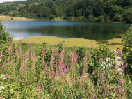 Land parcel, Ground area for sale in a resort area of Racha-Lechum, Georgia. Photo 2