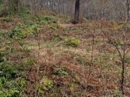 Продается земельный участок в пригороде Батуми, Грузия. Фото 4