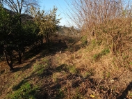 Land parcel for sale in the suburbs of Batumi, Georgia. Sea view and mountains. Photo 1