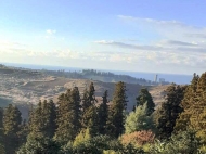 Участок с видом на море и горы в тихом районе Чакви, Аджария, Грузия. Фото 2