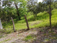 Продается земельный участок в пригороде Батуми, Хелвачаури. Фото 2