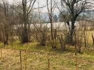 Land parcel, Ground area for sale in the suburbs of Batumi, Georgia. Photo 3